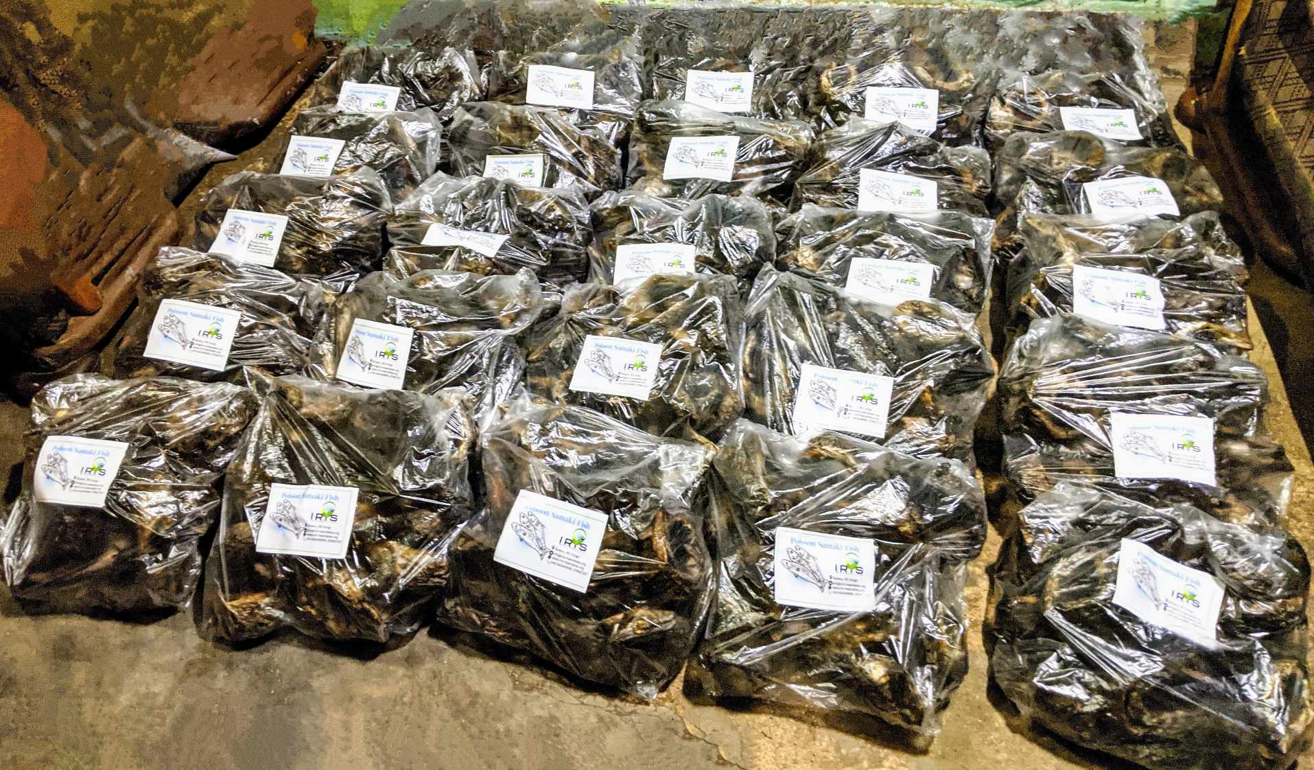 Women and Youth entrepreneurship